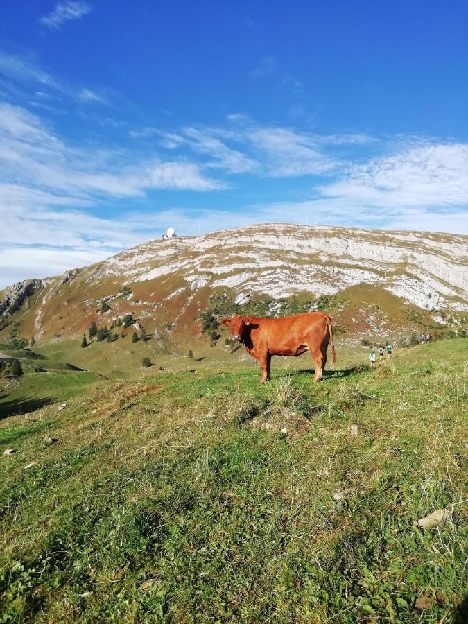Cahute De Montagne Pour Profiter Du Haut Jura Prémanon Exterior foto