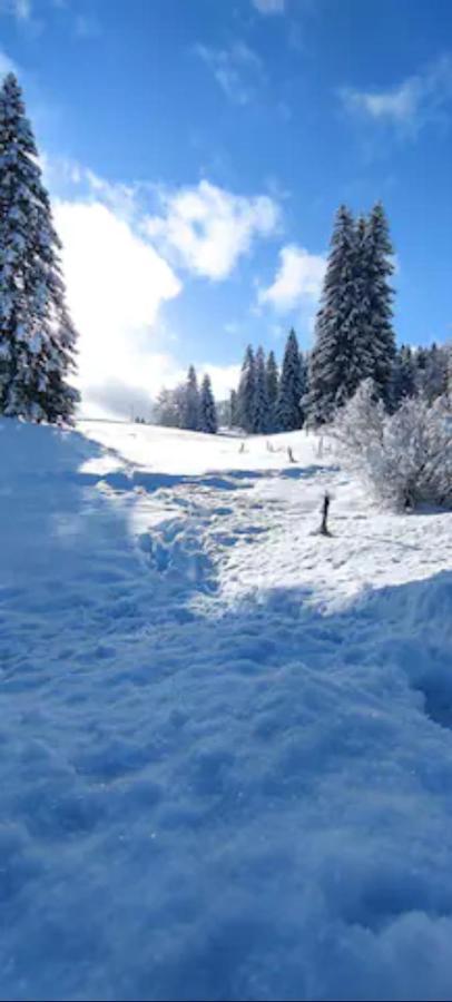 Cahute De Montagne Pour Profiter Du Haut Jura Prémanon Exterior foto